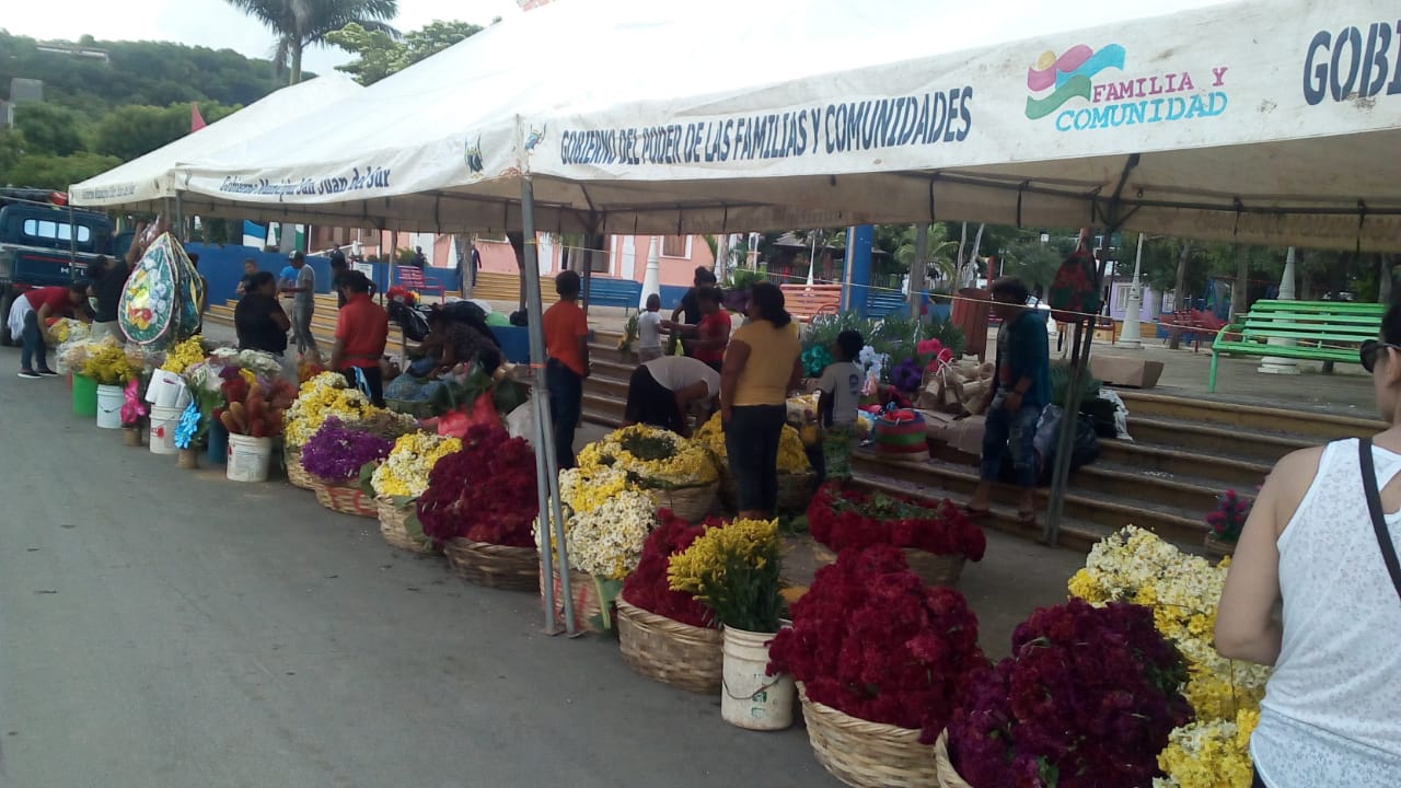 flores